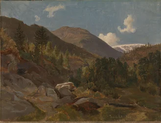 Norwegian Landscape