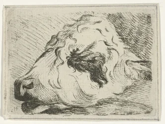 Head of a Calf, in Profile, Resting on a Beam