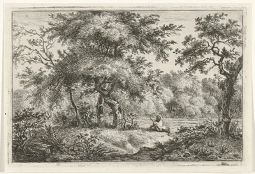 Resting Man in Forest