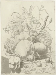 Fruits and a Branch with a Butterfly