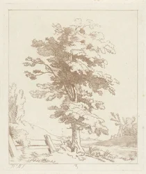 Tree in a Landscape