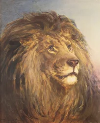 A Lion