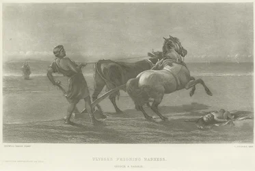 Ulysses feigning madness (engraving)