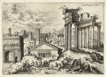 View of the Roman Forum from the Capitol (Roman Ruins)