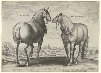 Horse from Rome and a Broodmare (series title: Horse Breeds from the Royal Stables of Don Juan of Austria)