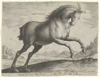 Horse of the Equus Regius Breed