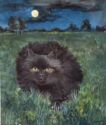The Cat and the Moon