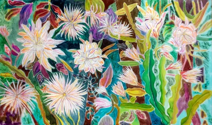 Night Flowering Moonflower, Peru, 2022