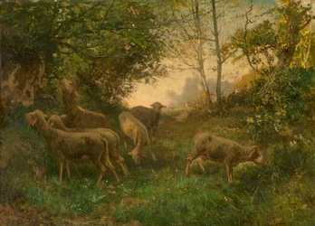 Sheep on the Edge of the Wood