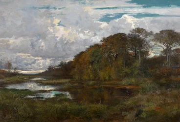 The Ponds of the 