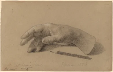 Study of a Hand