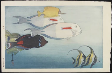 The Honolulu Aquarium