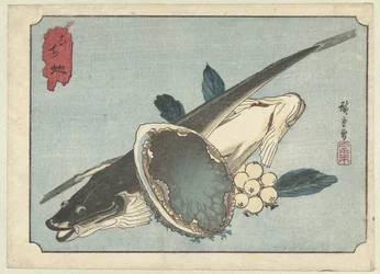 Flatfish, Abalone, and Berries