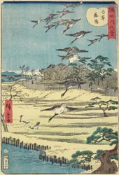 Homing Geese at Shirahige, November 1861