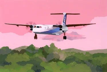 Airplane Landing at a Small Airfield