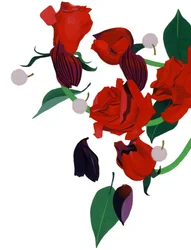Red Rose