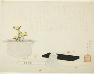 Potted Adonis with Writing Implements