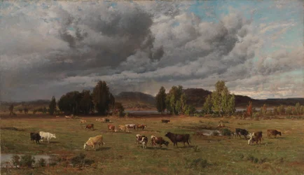 Pasture in Häme