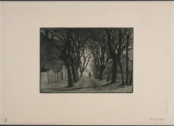 Alley