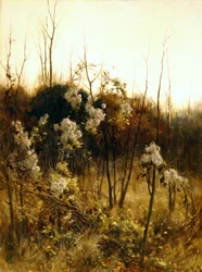 Travellers