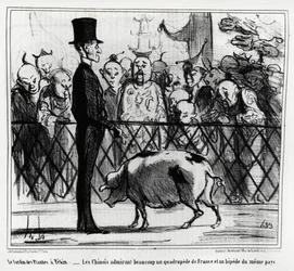 The Garden of Plants in Peking: The Chinese Admiring a Quadruped of France and a Beep of the Same Country. Illustration by Honore Daumier, Published in Charivari, China Actualites