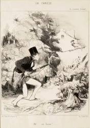 Oh! ... A Pheasant!