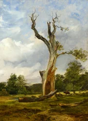 The Blasted Tree, c.1838