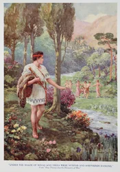 Under the shade of rocks and trees were nymphs and shepherds dancing