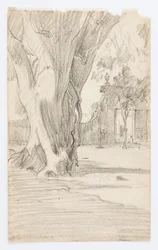 Untitled (Tree Trunk with Gate)
