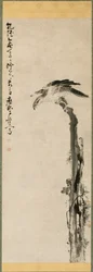 Eagle on a Tree Trunk