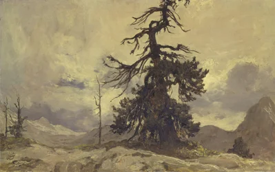 The Dying Monarch 
