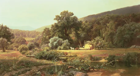 Summer in the Blue Ridge