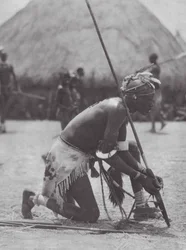 Africa: Shilluk in festal garb