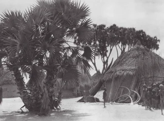 Africa: Shilluk village on the White Nile