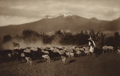 Mexico: The surroundings of Amecameca