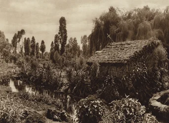 Mexico: Xochimilco with the so-called 