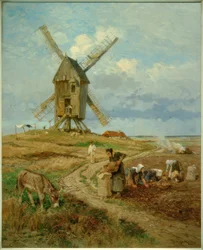 Potato Harvest