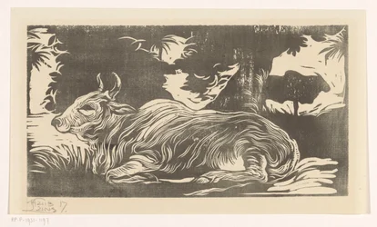 Lying Zebu
