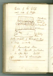 Sketch of the Cliff west side of Staffa, page from Sir Humphry Davy