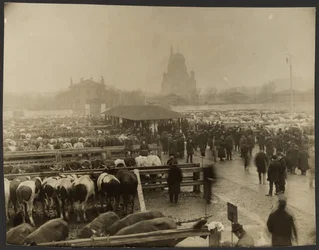 Concerning Events at Slaughterhouse: The Stockyard