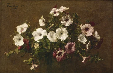 Petunias, 1881