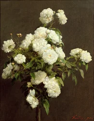 White Roses, 1870