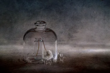 Fragile Dandelion Cloche