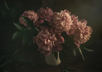 Elegant Pink Peonies