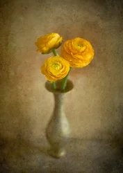 Golden Ranunculus Vase