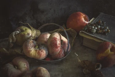 Moody Autumn Fruit