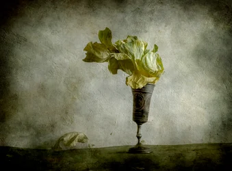 Withered Lettuce Goblet