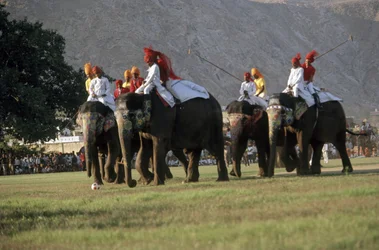 Men Playing Elephant Polo