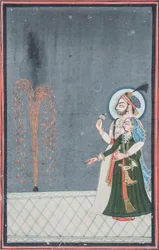 A Raja and Rani Watching Fireworks
