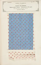 Bootee muslin sample embroidered with spots from Dacca in Bengal, from The Collection of the Textile Manufacturers of India, by John Forbes Watson, published in 1866
